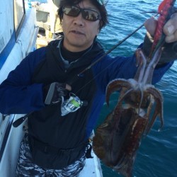 エヌスタイル 釣果