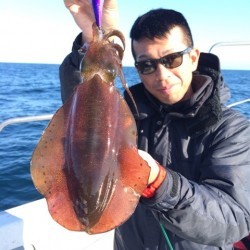 エヌスタイル 釣果