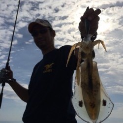 エヌスタイル 釣果