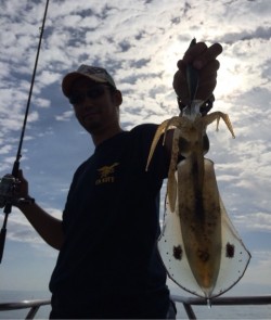 エヌスタイル 釣果