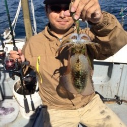 エヌスタイル 釣果