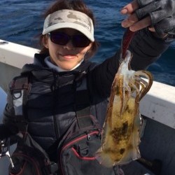 エヌスタイル 釣果