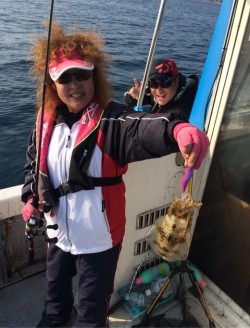 エヌスタイル 釣果