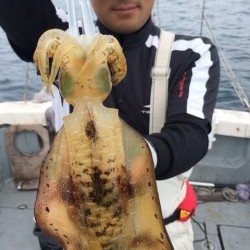 エヌスタイル 釣果