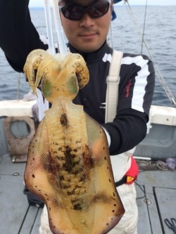エヌスタイル 釣果