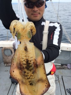 エヌスタイル 釣果