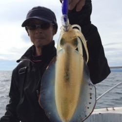 エヌスタイル 釣果