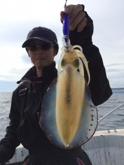 エヌスタイル 釣果