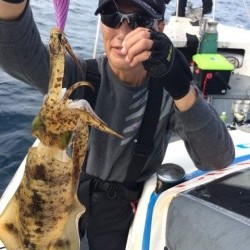 エヌスタイル 釣果