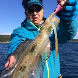 エヌスタイル 釣果