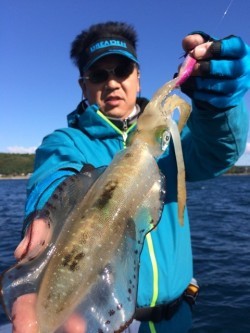 エヌスタイル 釣果