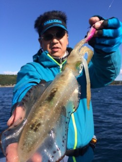 エヌスタイル 釣果