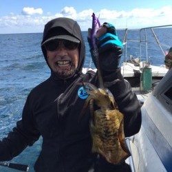 エヌスタイル 釣果