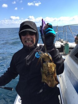 エヌスタイル 釣果