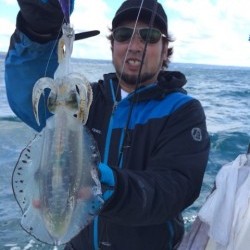 エヌスタイル 釣果