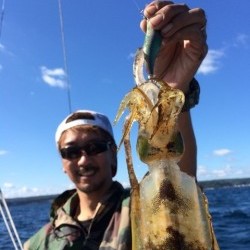 エヌスタイル 釣果