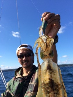 エヌスタイル 釣果