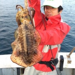 エヌスタイル 釣果