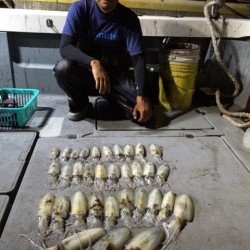 エヌスタイル 釣果