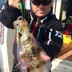 エヌスタイル 釣果