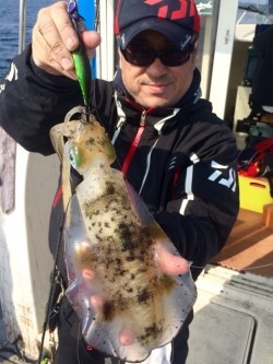 エヌスタイル 釣果