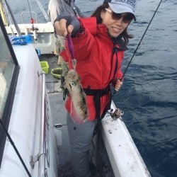 エヌスタイル 釣果