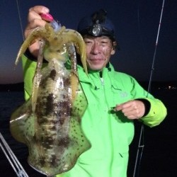 エヌスタイル 釣果