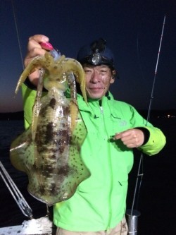 エヌスタイル 釣果