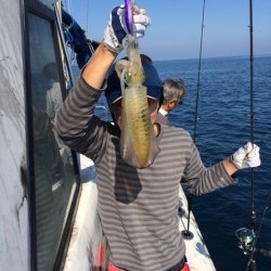 エヌスタイル 釣果