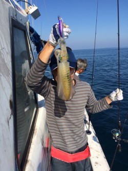 エヌスタイル 釣果