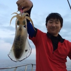 エヌスタイル 釣果
