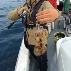 エヌスタイル 釣果