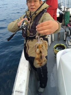 エヌスタイル 釣果