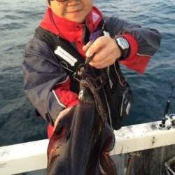 エヌスタイル 釣果