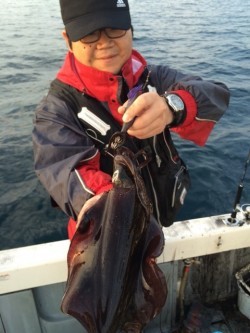 エヌスタイル 釣果