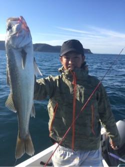 「LaGooN」蒼陽丸 日和号　 釣果