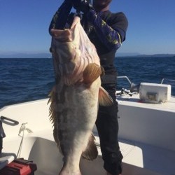 「LaGooN」蒼陽丸 日和号　 釣果