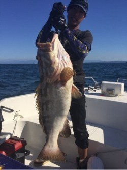 「LaGooN」蒼陽丸 日和号　 釣果
