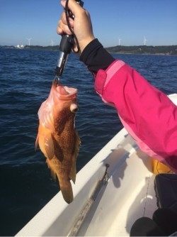 「LaGooN」蒼陽丸 日和号　 釣果