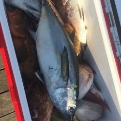 「LaGooN」蒼陽丸 日和号　 釣果