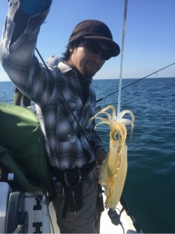 「LaGooN」蒼陽丸 日和号　 釣果