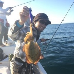 「LaGooN」蒼陽丸 日和号 釣果