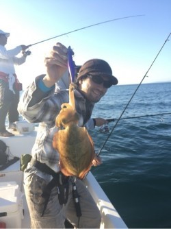 「LaGooN」蒼陽丸 日和号 釣果