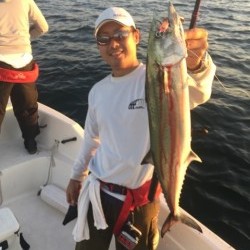 「LaGooN」蒼陽丸 日和号 釣果