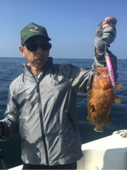 「LaGooN」蒼陽丸 日和号　 釣果