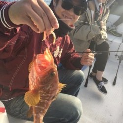 「LaGooN」蒼陽丸 日和号　 釣果