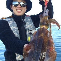 エヌスタイル 釣果