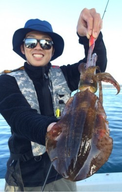 エヌスタイル 釣果