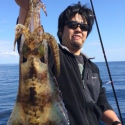 エヌスタイル 釣果