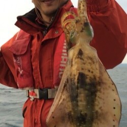 エヌスタイル 釣果